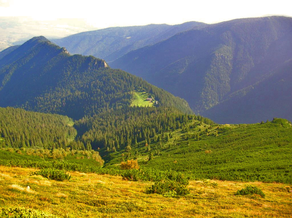 Trail Breaza Village - Urlea Chalet, through Pojorta Valley